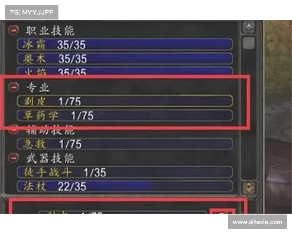 魔兽世界怀旧服：技能提升之道